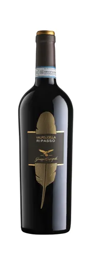 VALPOLICELLA RIPASSO DOC CLAS. SUPERIORE 2020  | MAGNUM